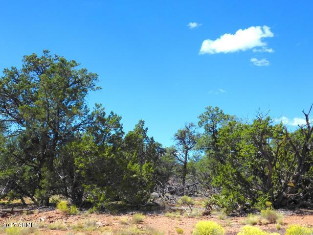 7271 Red Butte Road, Unit 112 Williams, AZ 86046 - Photo 4 of 12 20170930202638569668000000-o