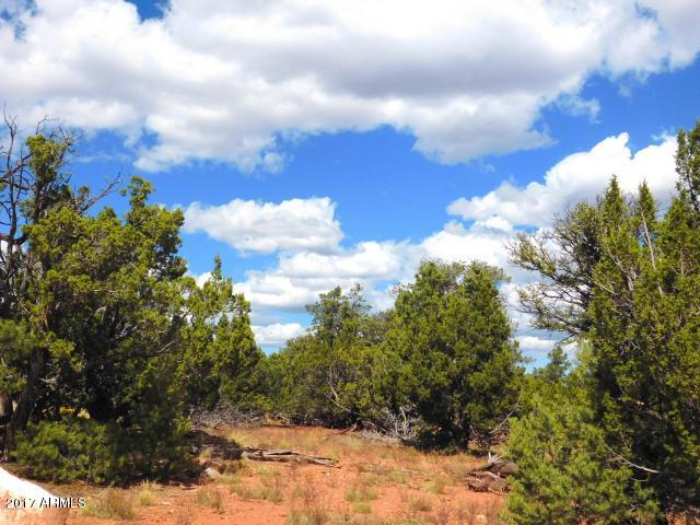 7271 Red Butte Road, Unit 112 Williams, AZ 86046 - Photo 5 of 12 20170930202644049757000000-o