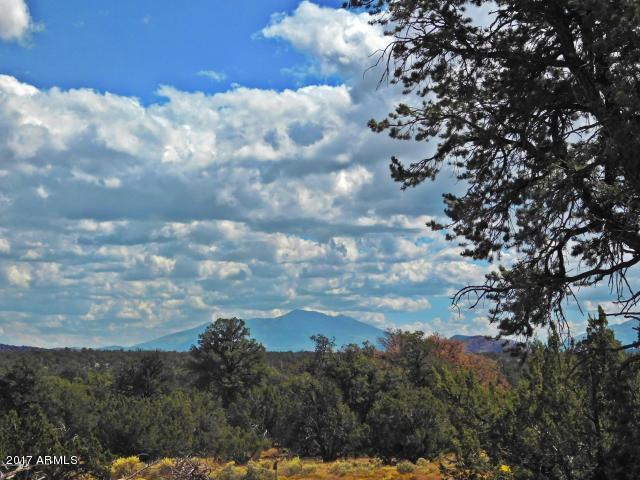 7271 Red Butte Road, Unit 112 Williams, AZ 86046 - Photo 7 of 12 20170930202700145335000000-o