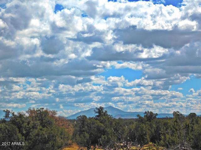 7271 Red Butte Road, Unit 112 Williams, AZ 86046 - Photo 8 of 12 20170930202705936107000000-o