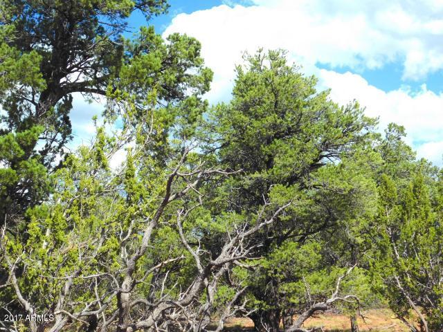 7271 Red Butte Road, Unit 112 Williams, AZ 86046 - Photo 9 of 12 20170930202711765555000000-o
