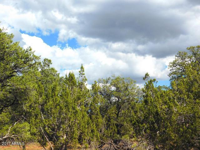 7271 Red Butte Road, Unit 112 Williams, AZ 86046 - Photo 10 of 12 20170930202718018730000000-o