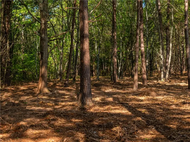 $299,000 | 12 Moorefield Memorial Highway, Liberty, SC 29657