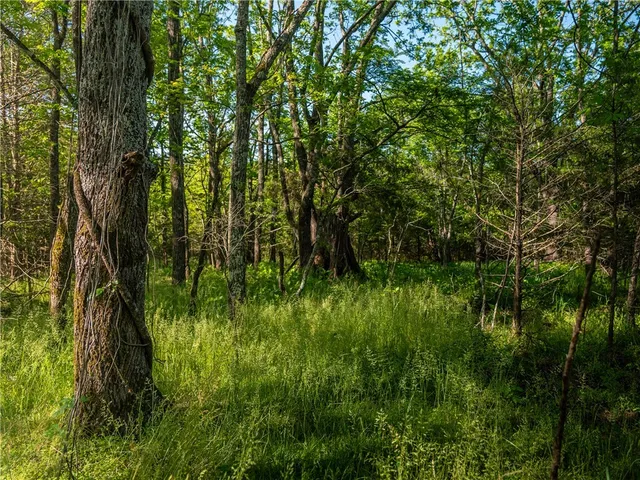 $299,000 | 12 Moorefield Memorial Highway, Liberty, SC 29657