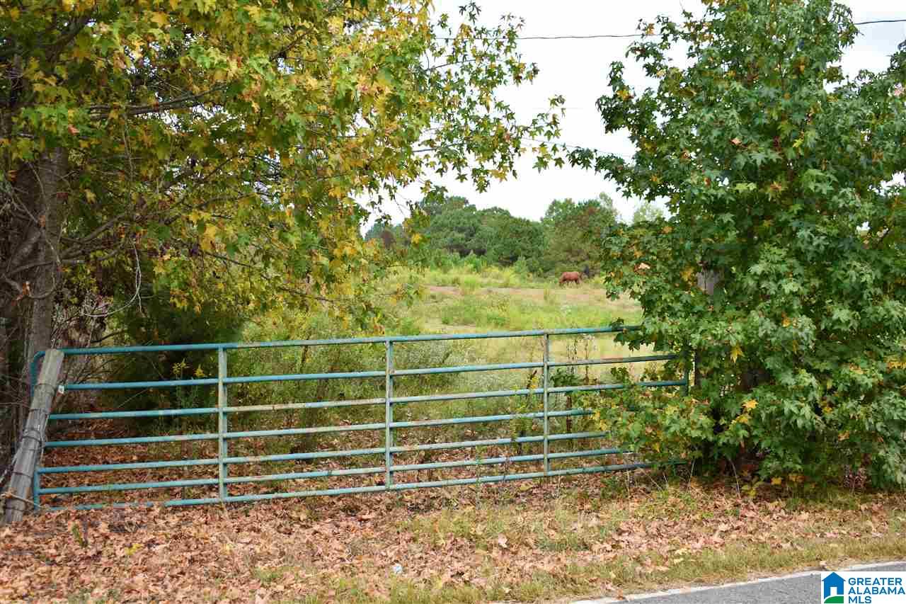 3052 Smith Mill Road, Unit 1 Trafford, AL 35172 - Photo 9 of 24