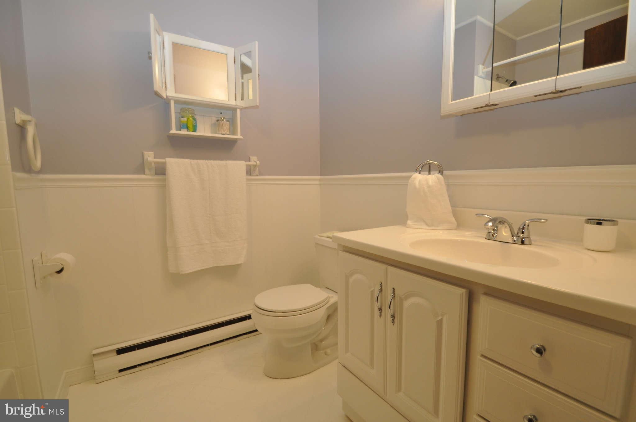 5136 Perry Road Mount Airy, MD 21771 - Photo 18 of 29 Hall Bath on Main Floor