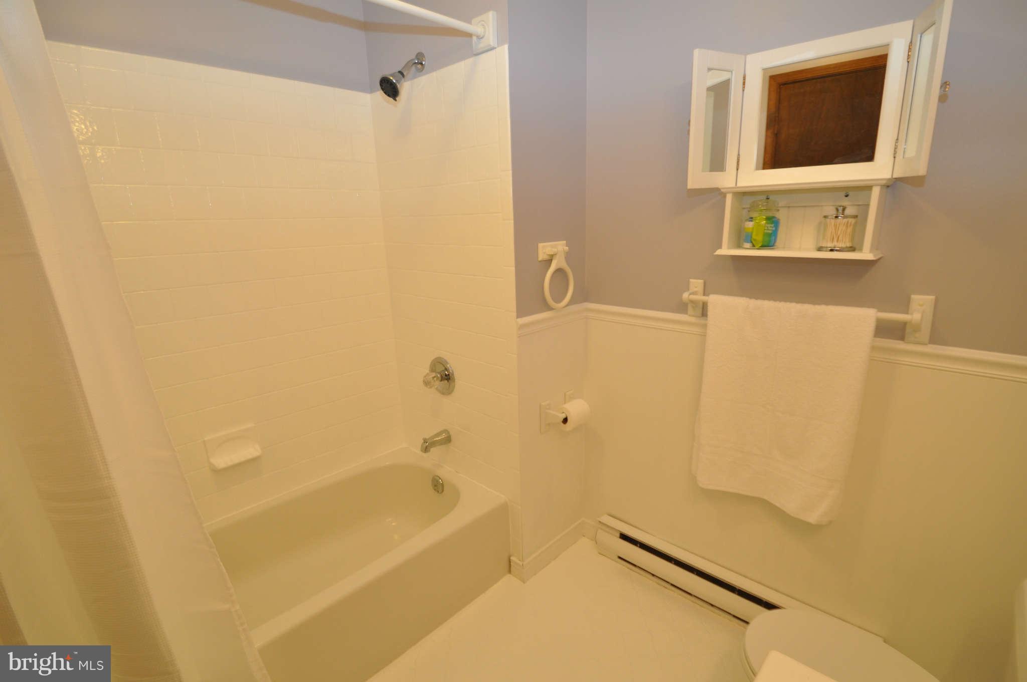 5136 Perry Road Mount Airy, MD 21771 - Photo 19 of 29 Hall Bath on Main Floor