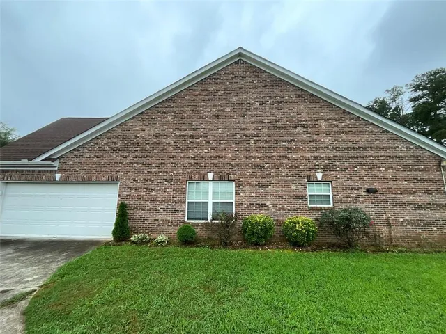 a view of a backyard with plants and large tree