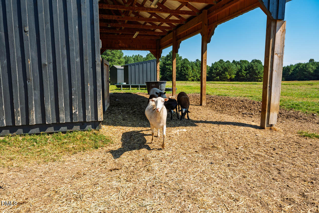 865 Marshall Road Pittsboro, NC 27312 - Photo 58 of 70 865MarshallRd-049