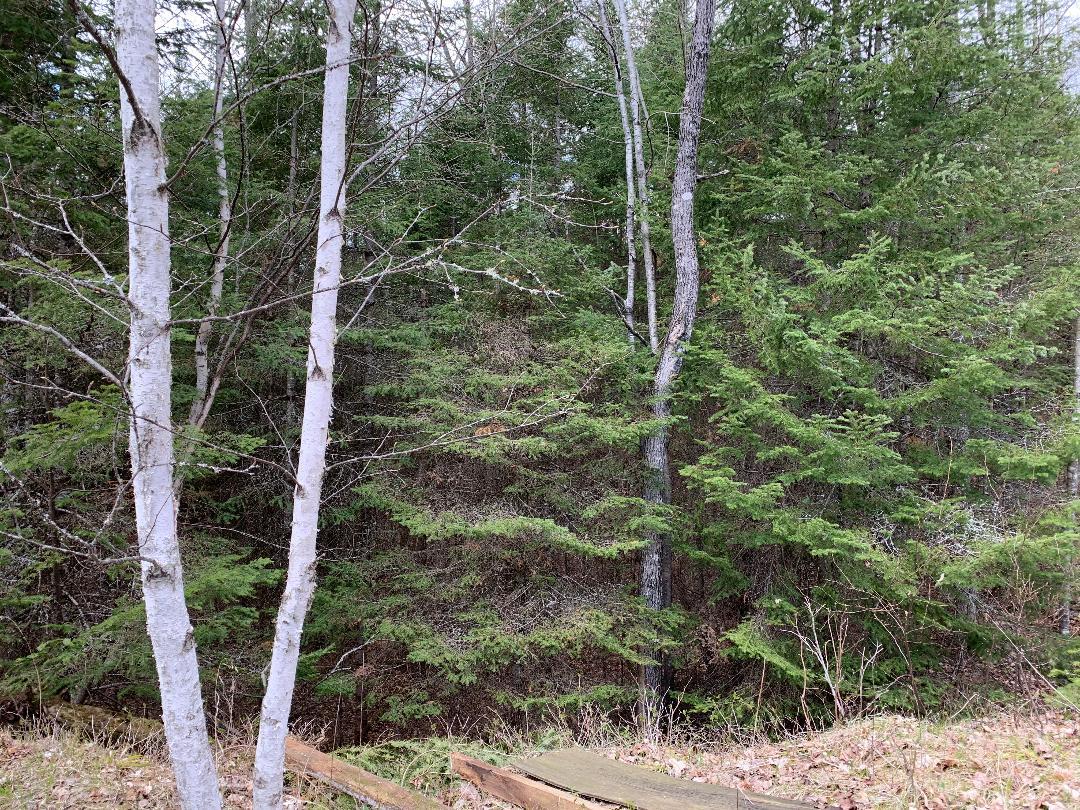 Lot 1 Golf Course Drive Mercer, WI 54547 - Photo 10 of 18 Gallery Image 10