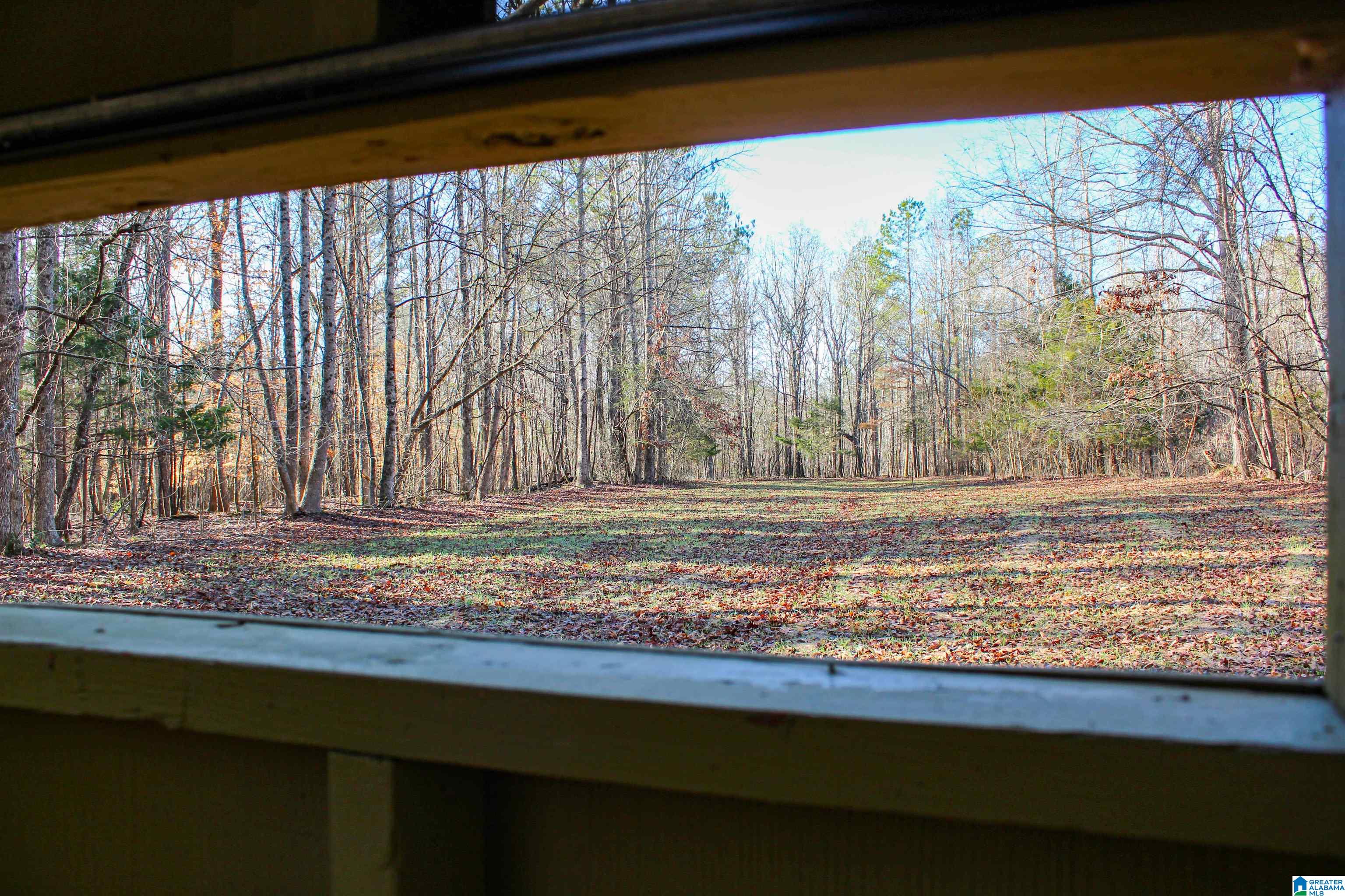 29 Highway Hamilton Al, Unit 1 Hamilton, AL 35570 - Photo 34 of 55