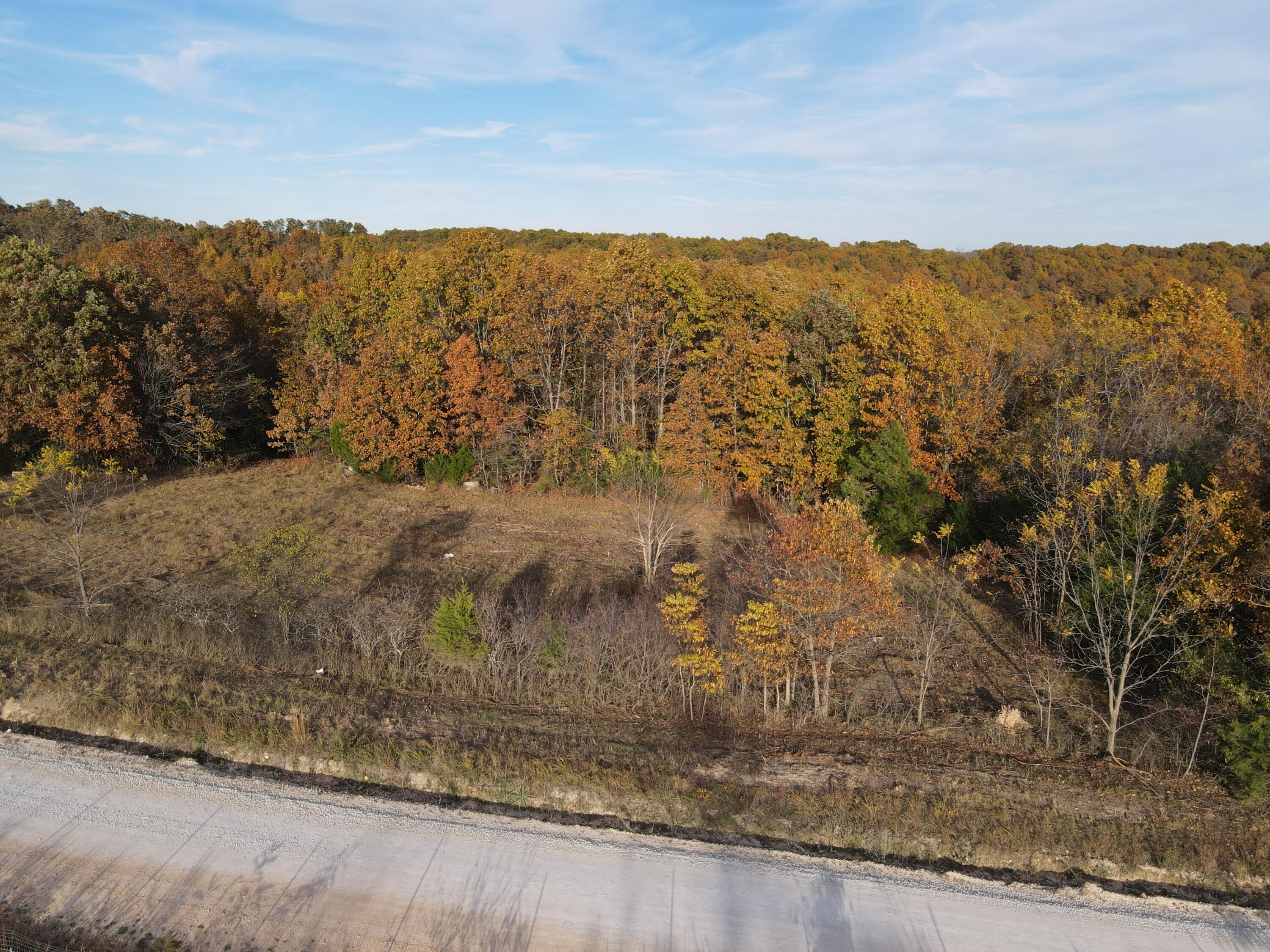 0 King Road Mountain Grove, MO 65711 - Photo 3 of 26 5