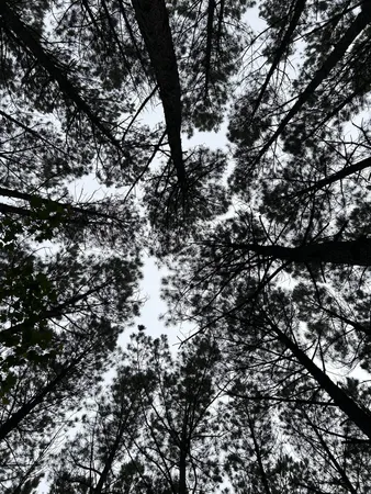 $130,000 | 1771 Crockett Point, Unit JF604, Jasper, TN 37347