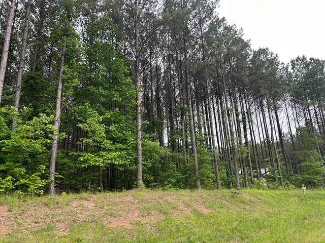 $130,000 | 1771 Crockett Point, Unit JF604, Jasper, TN 37347