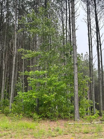 $130,000 | 1771 Crockett Point, Unit JF604, Jasper, TN 37347