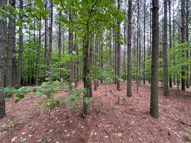 $130,000 | 1771 Crockett Point, Unit JF604, Jasper, TN 37347