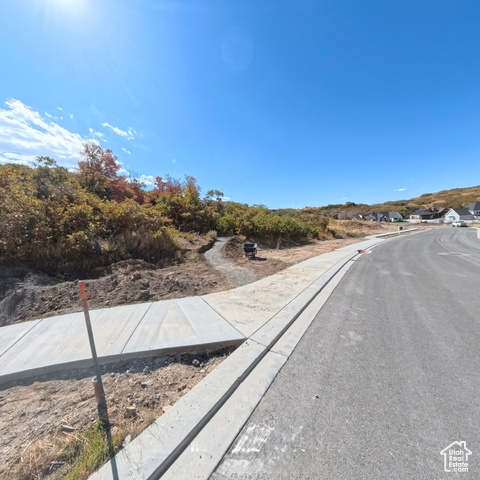 278 East Maple Ridge Road South, Unit 46 Mapleton, UT 84664 - Photo 6 of 7 View of road with sidewalks, curbs, and view of scattered trees