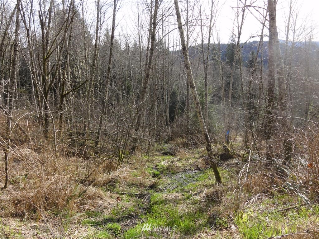 152-140 Short Road Morton, WA 98356 - Photo 15 of 19 Gallery Image 15