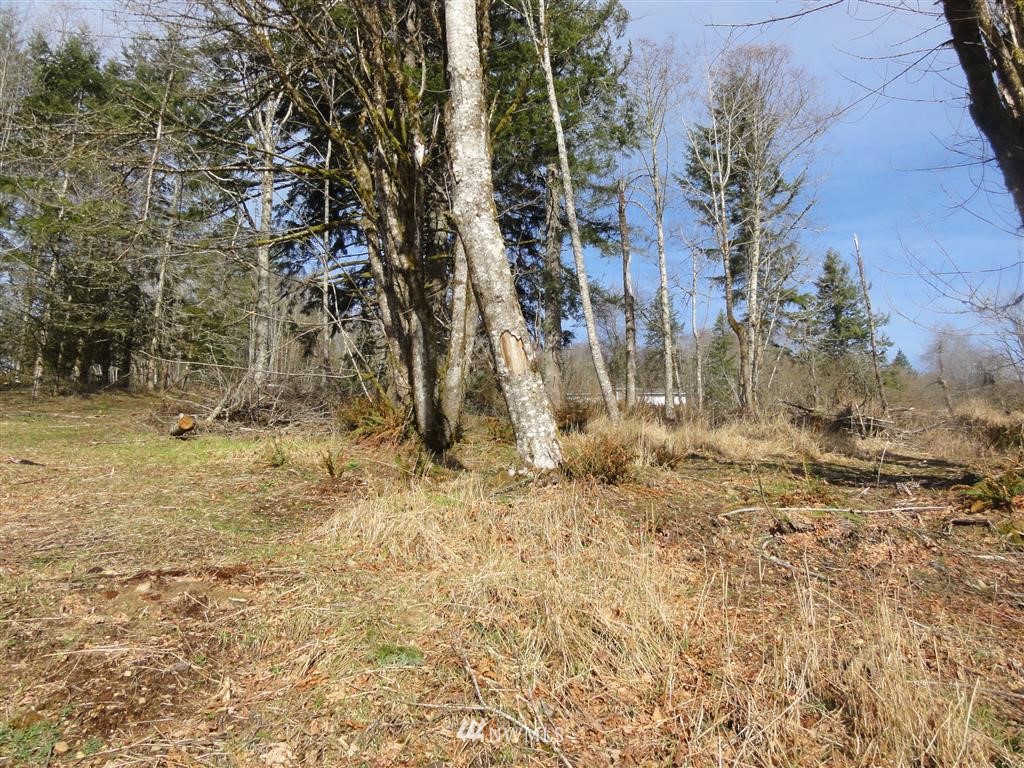 152-140 Short Road Morton, WA 98356 - Photo 16 of 19 Gallery Image 16