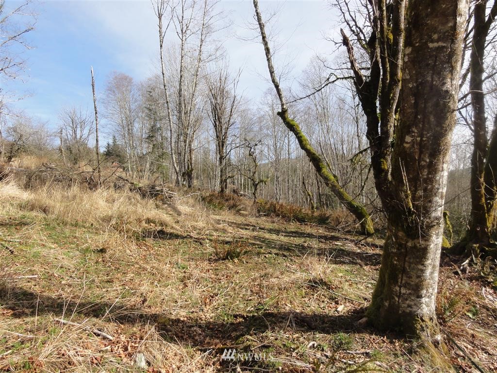 152-140 Short Road Morton, WA 98356 - Photo 17 of 19 Gallery Image 17