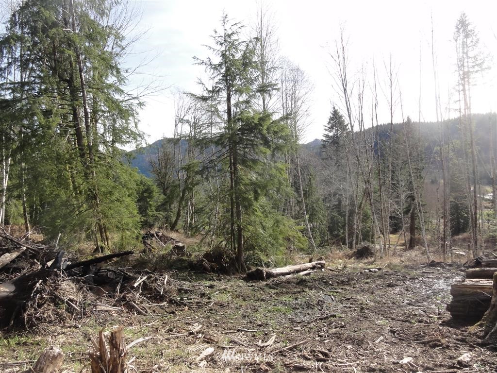 152-140 Short Road Morton, WA 98356 - Photo 6 of 19 Gallery Image 6