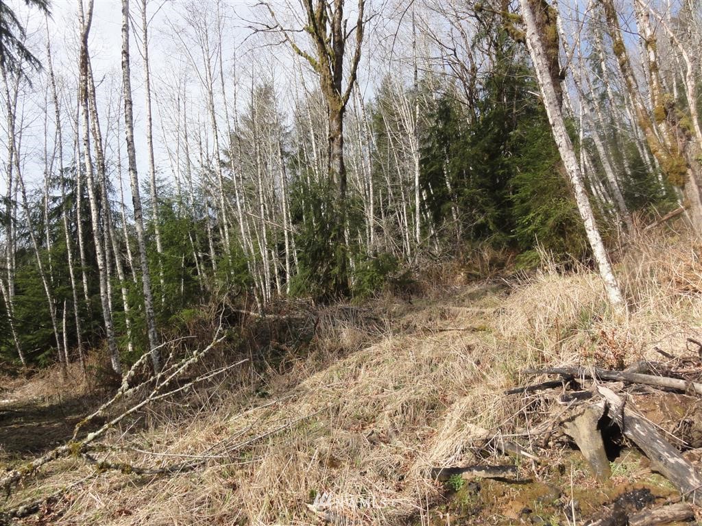 152-140 Short Road Morton, WA 98356 - Photo 7 of 19 Gallery Image 7