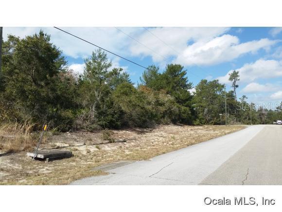 175 Southwest 175 Loop Ocala, FL 34473 - Photo 1 of 1 Primary Photo