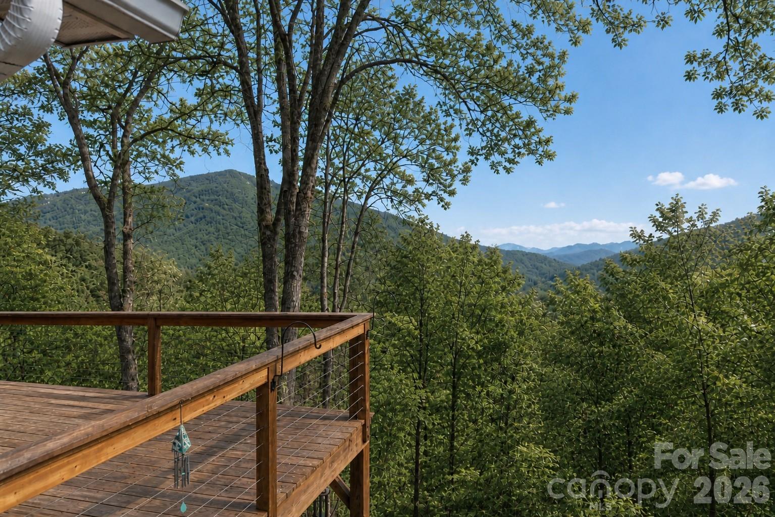 208 Buckeye Road Maggie Valley, NC 28751 - Photo 12 of 48 Gallery Image 12