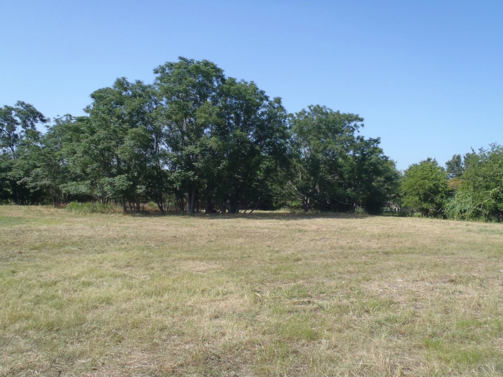 0 Sam Bass Road Round Rock, TX 78681 - Photo 1 of 1