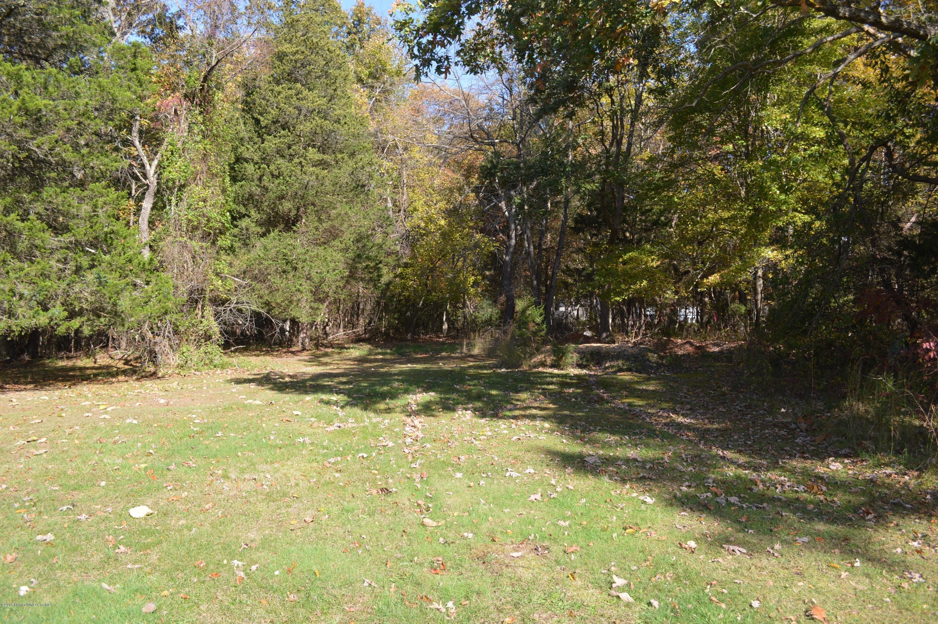 517 Leesville Road Jackson, NJ 08527 - Photo 7 of 9 DSC_9645