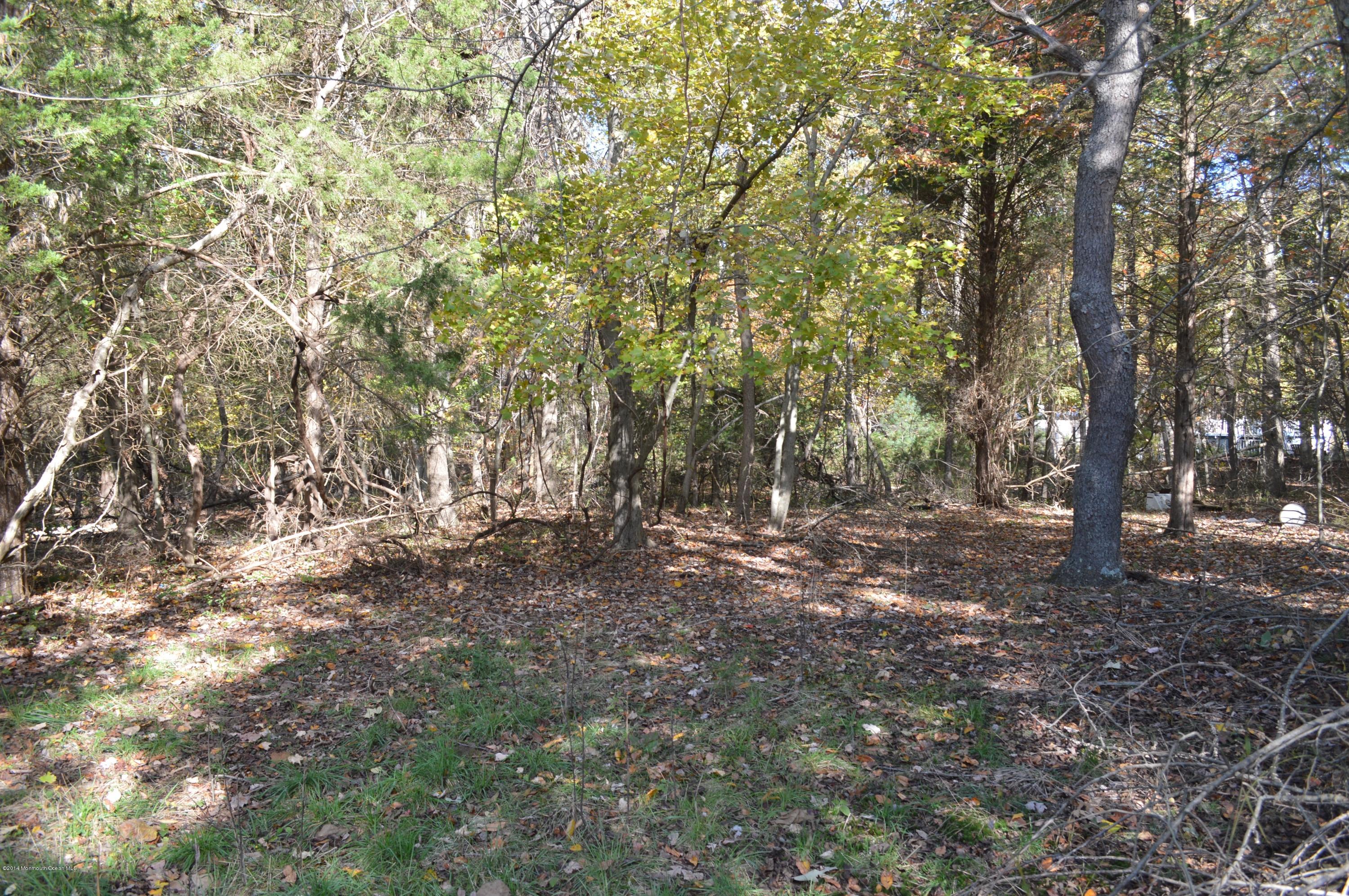 517 Leesville Road Jackson, NJ 08527 - Photo 9 of 9 DSC_9647