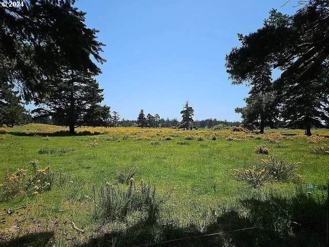 $439,000 | 43460 Nicholson Drive, Port Orford, OR 97465