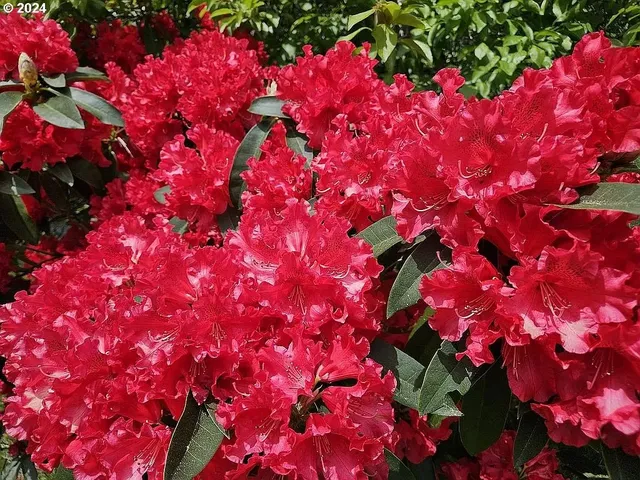 $439,000 | 43460 Nicholson Drive, Port Orford, OR 97465