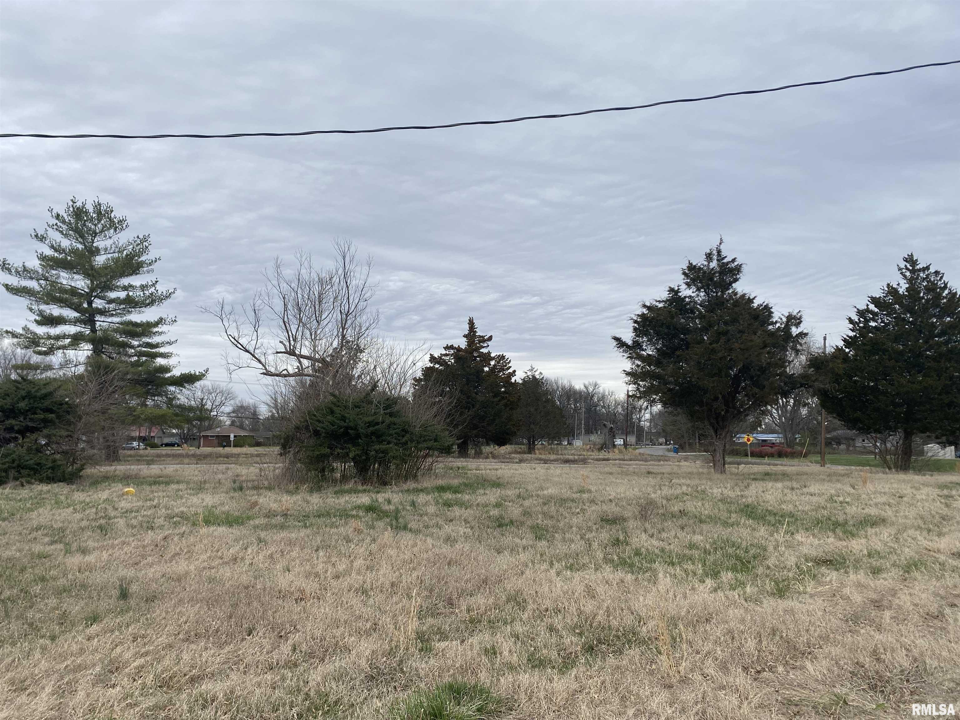 287 McDowell Road Murphysboro, IL 62966 - Photo 1 of 11