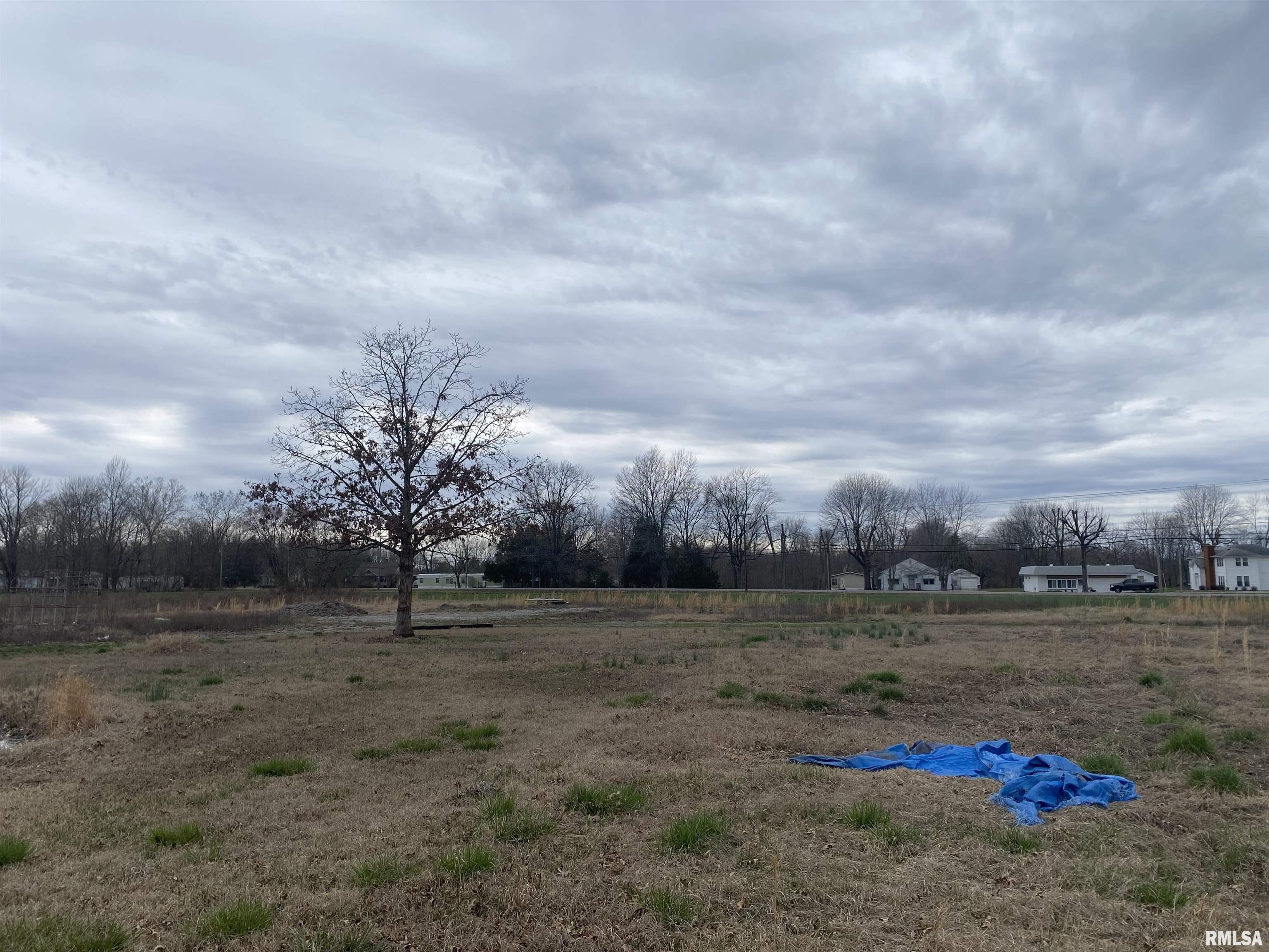 287 McDowell Road Murphysboro, IL 62966 - Photo 2 of 11