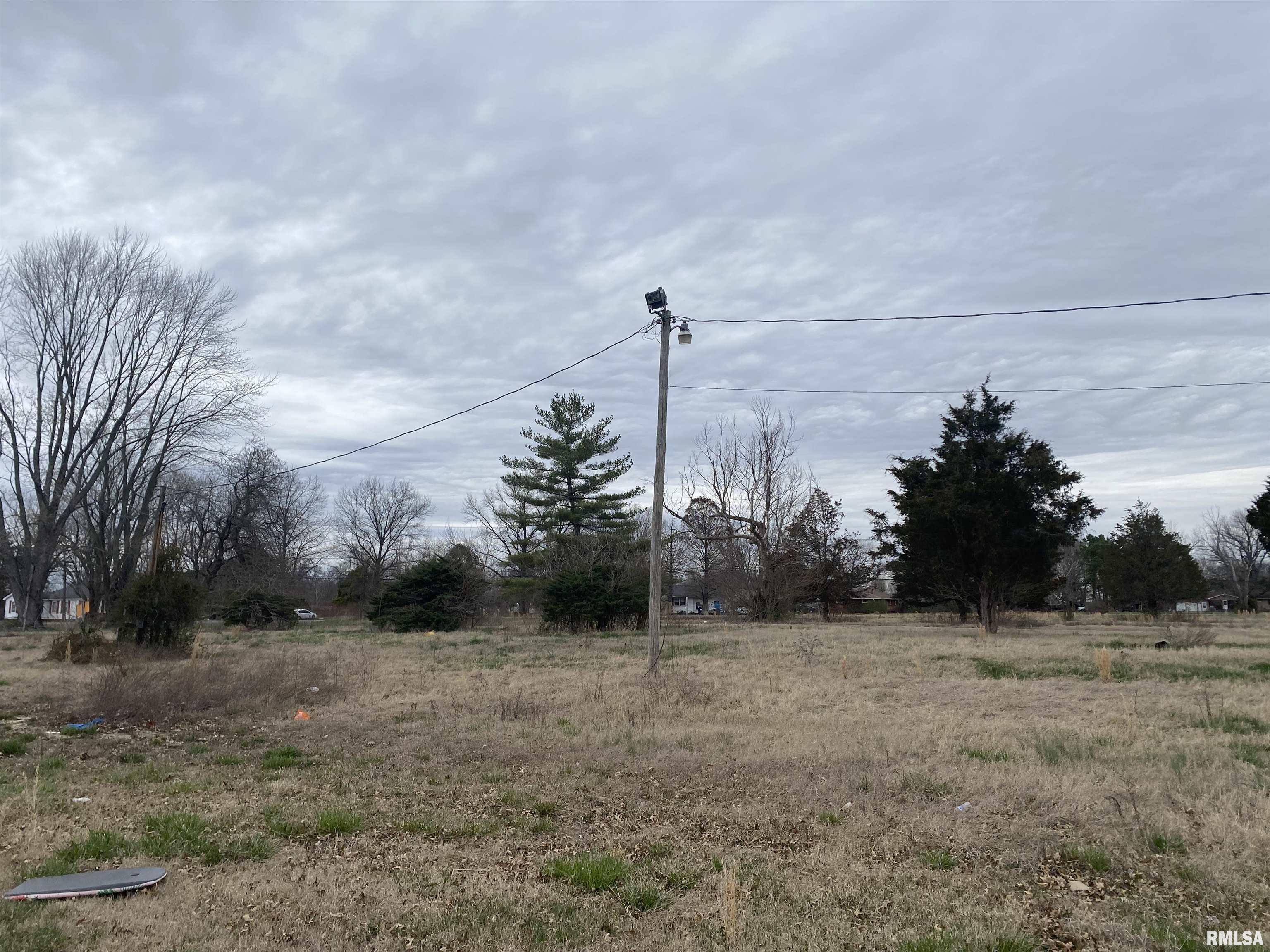 287 McDowell Road Murphysboro, IL 62966 - Photo 5 of 11