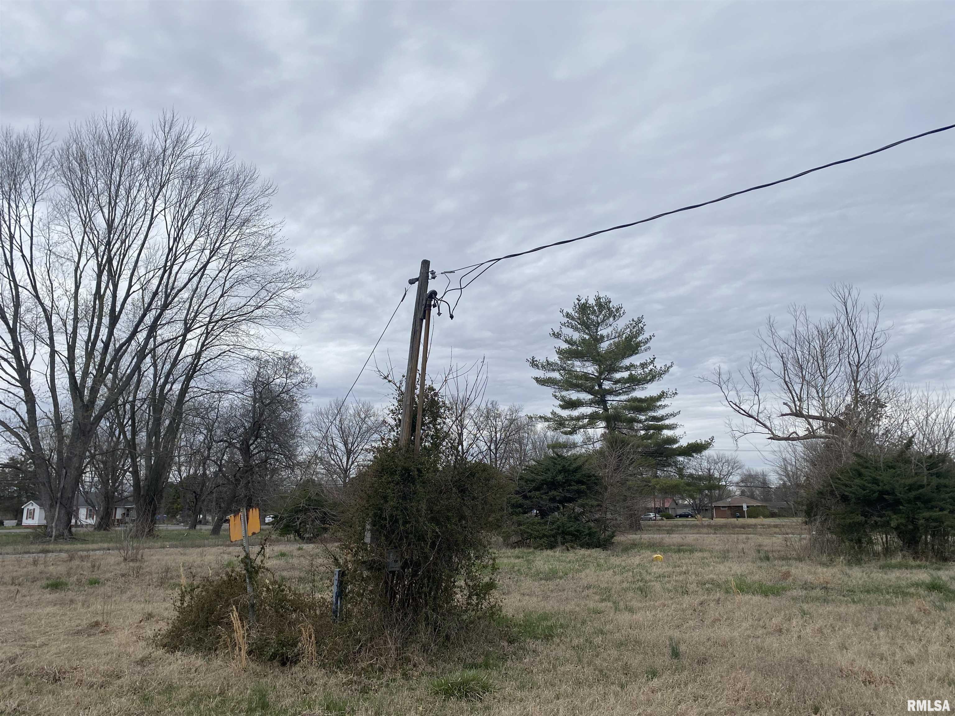 287 McDowell Road Murphysboro, IL 62966 - Photo 6 of 11