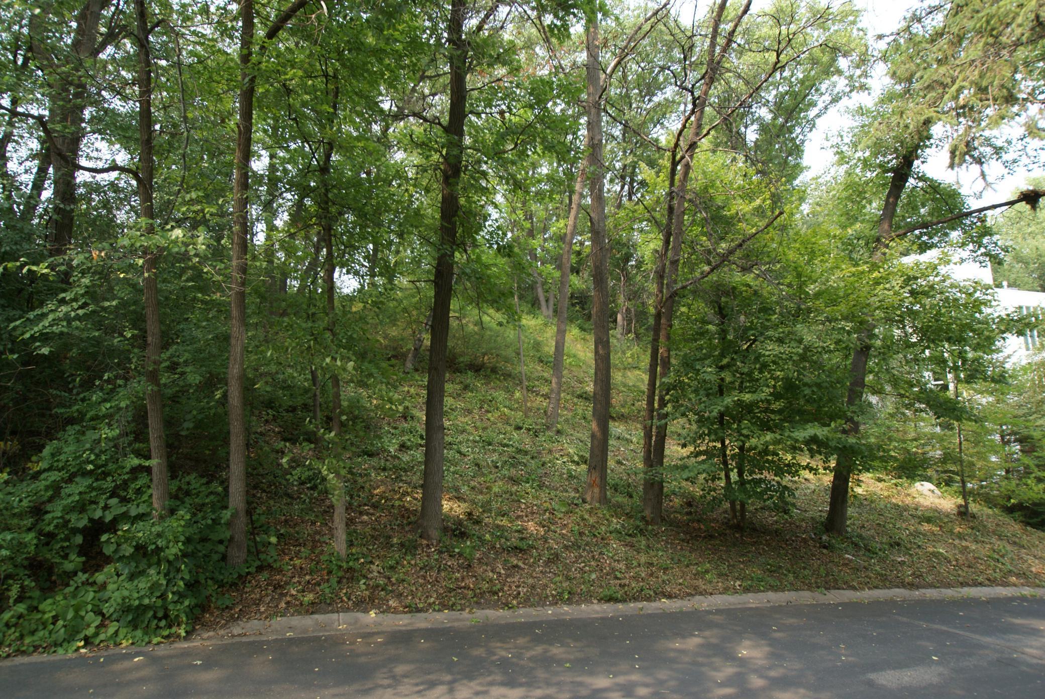 1408 Alpine Pass Golden Valley, MN 55416 - Photo 3 of 26