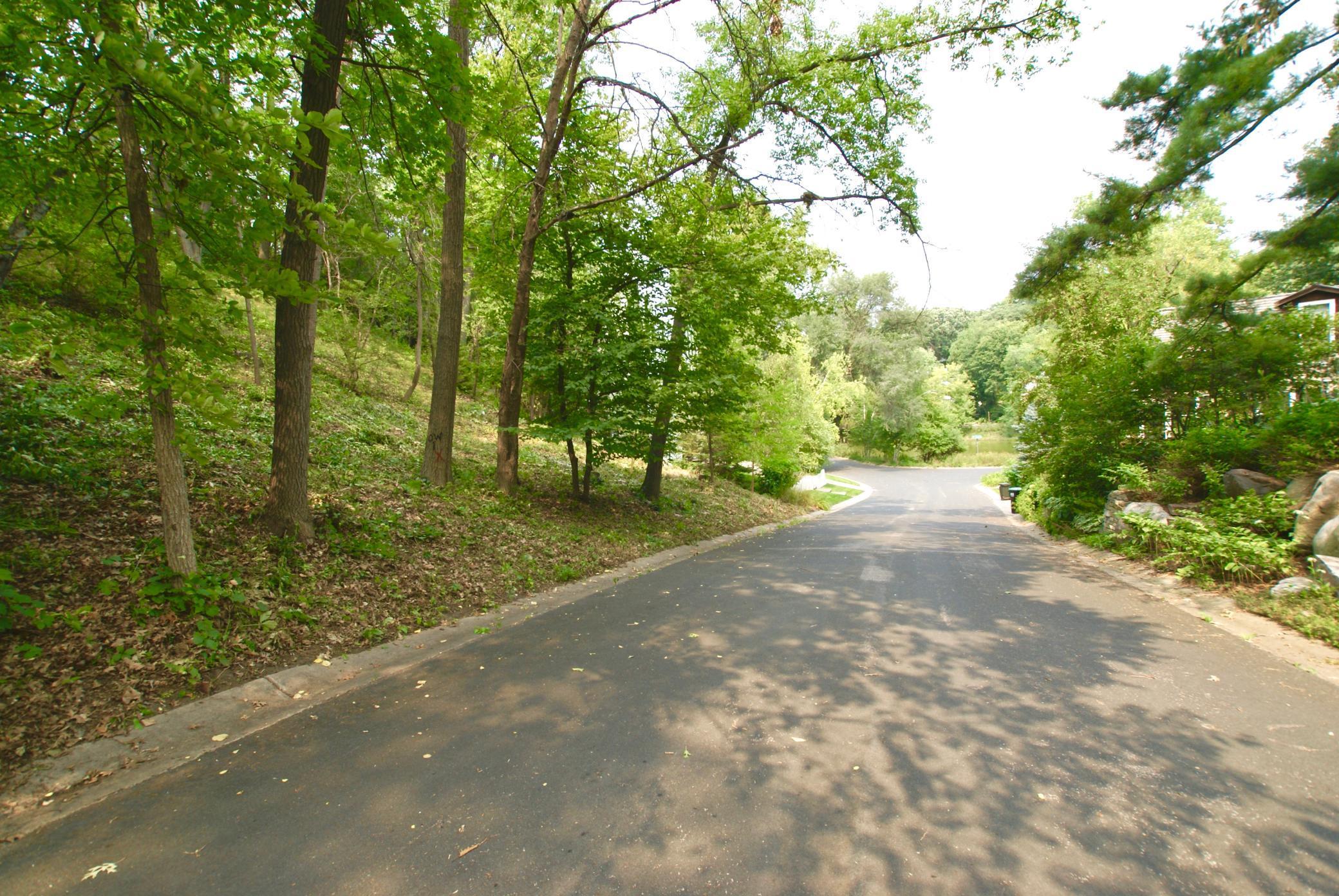 1408 Alpine Pass Golden Valley, MN 55416 - Photo 4 of 26