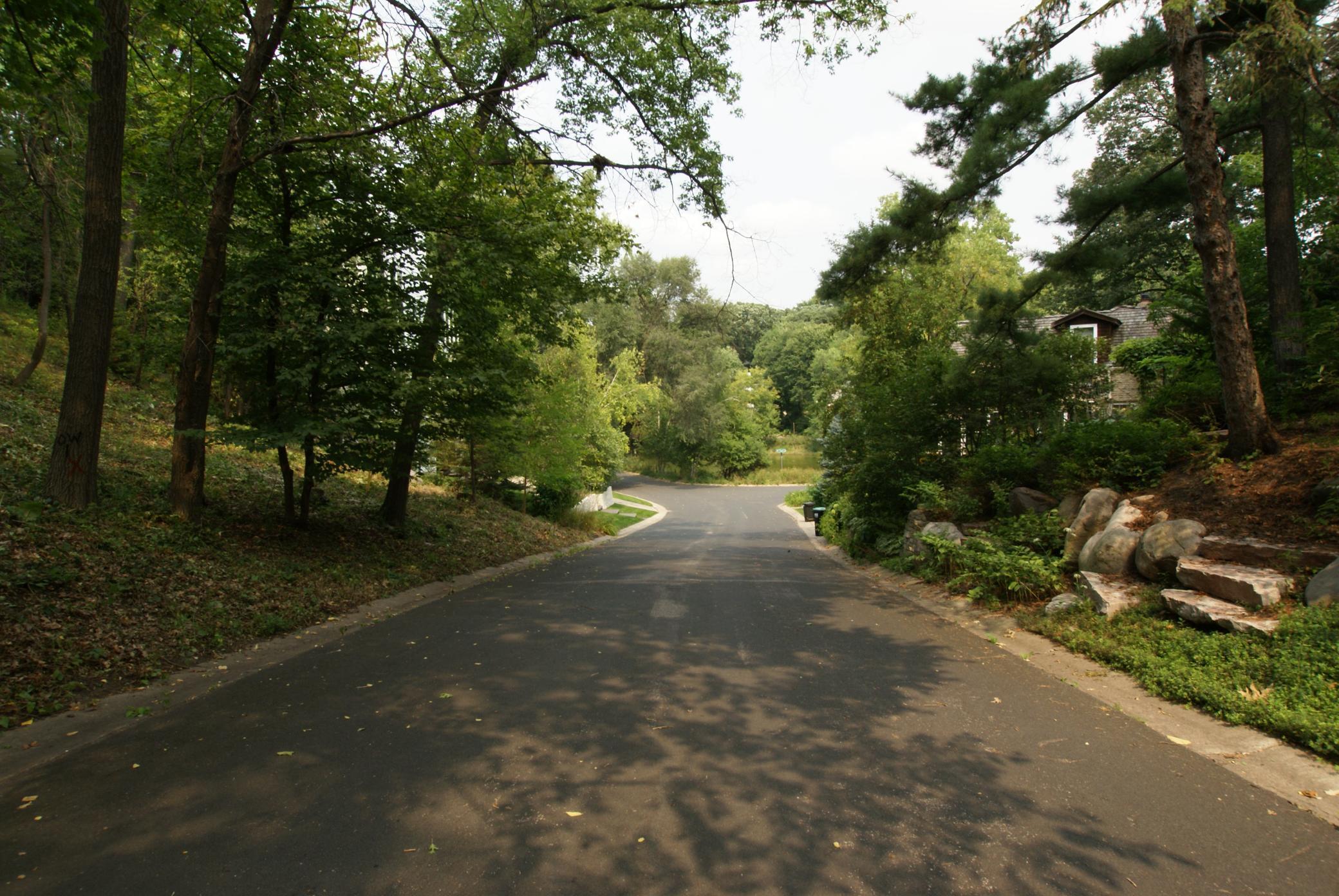 1408 Alpine Pass Golden Valley, MN 55416 - Photo 5 of 26