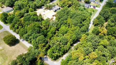 a view of a plant in a garden