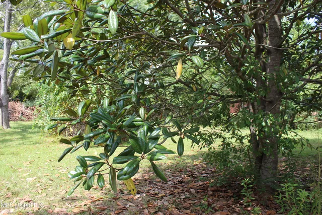 $125,000 | 105 Pecan Drive, Lucedale, MS 39452