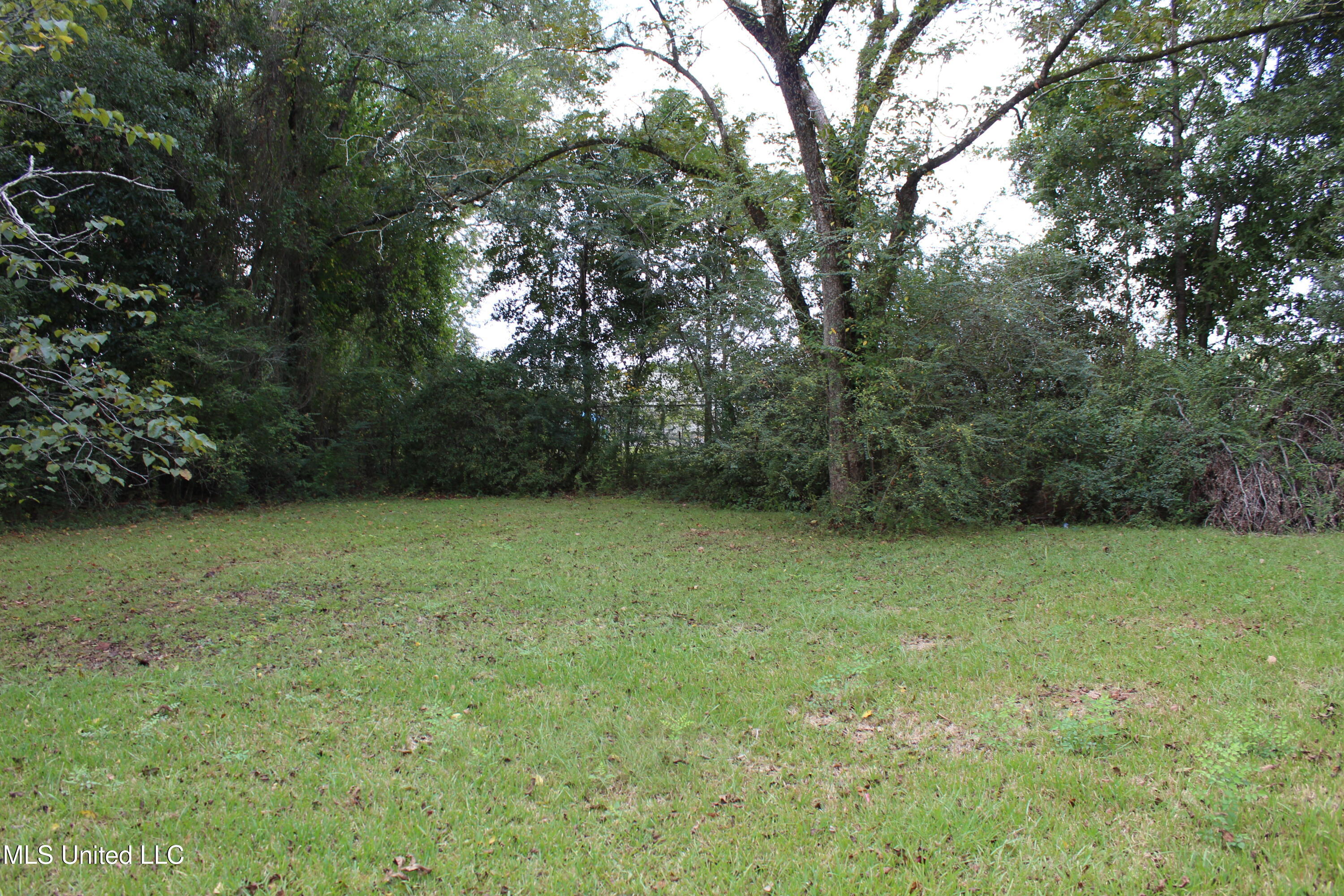 105 Pecan Drive Lucedale, MS 39452 - Photo 6 of 24 IMG_9899