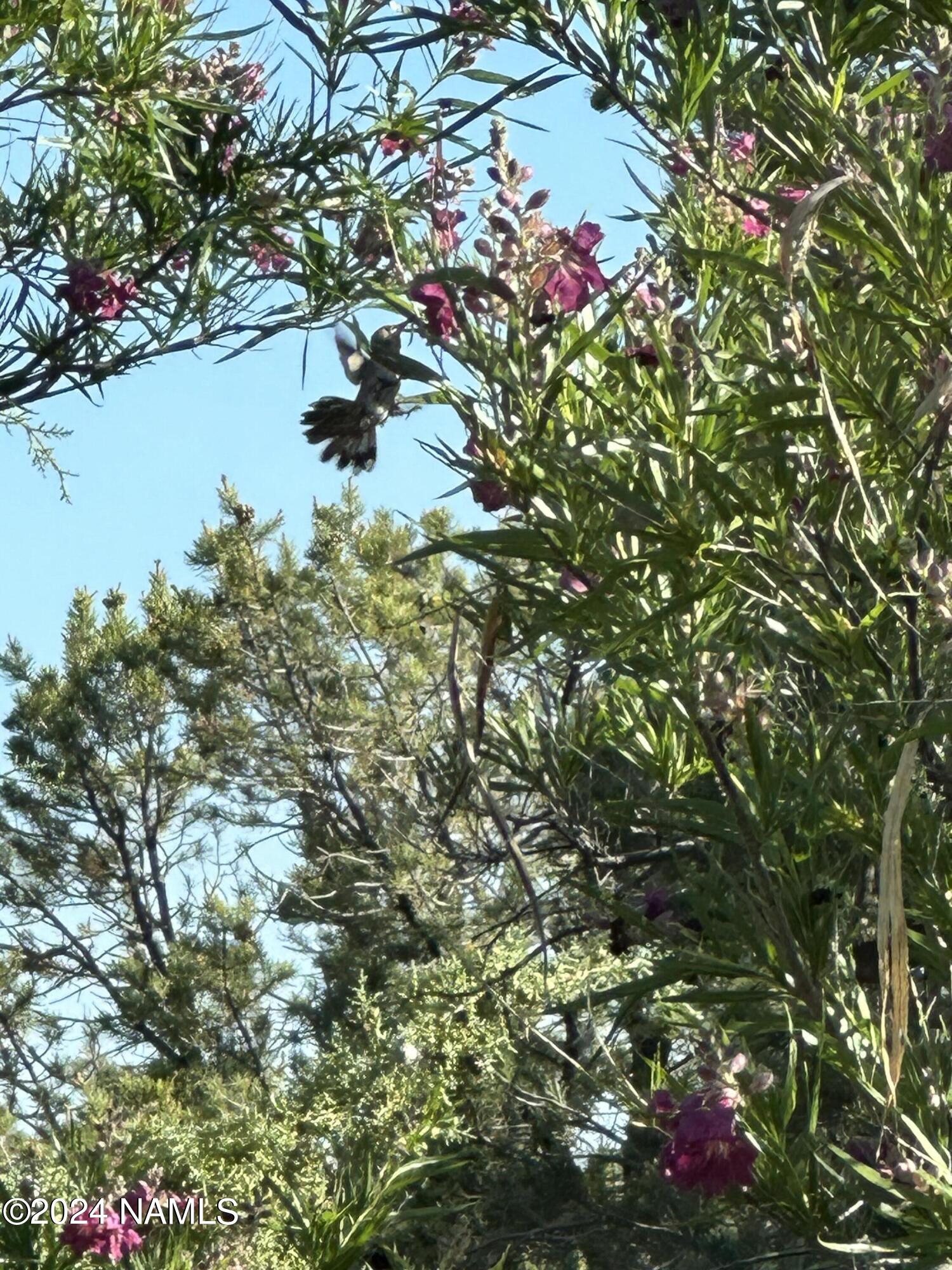 60 West Gunsmoke Road Sedona, AZ 86336 - Photo 58 of 61 IMG_6475