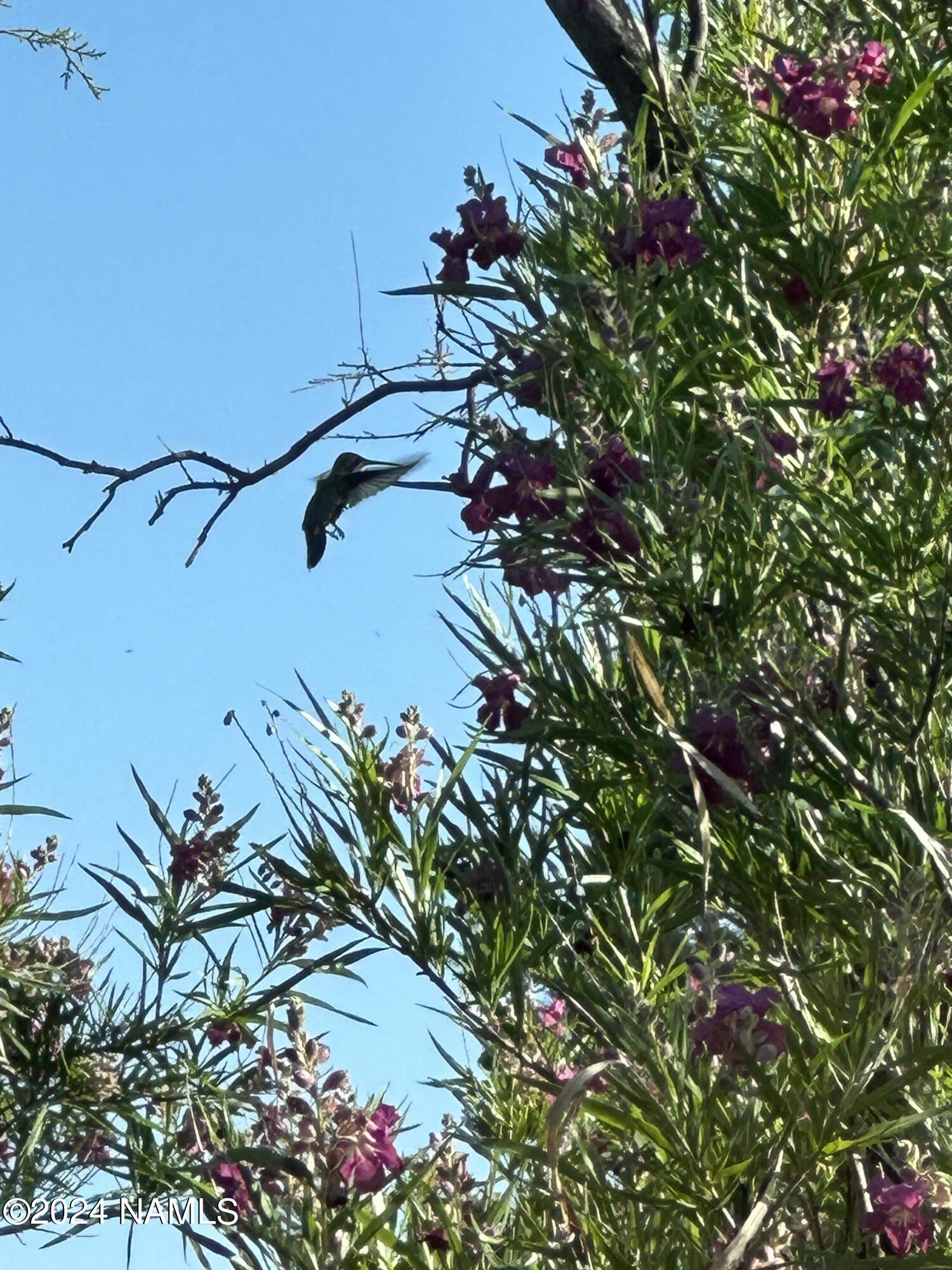 60 West Gunsmoke Road Sedona, AZ 86336 - Photo 61 of 61 IMG_6473