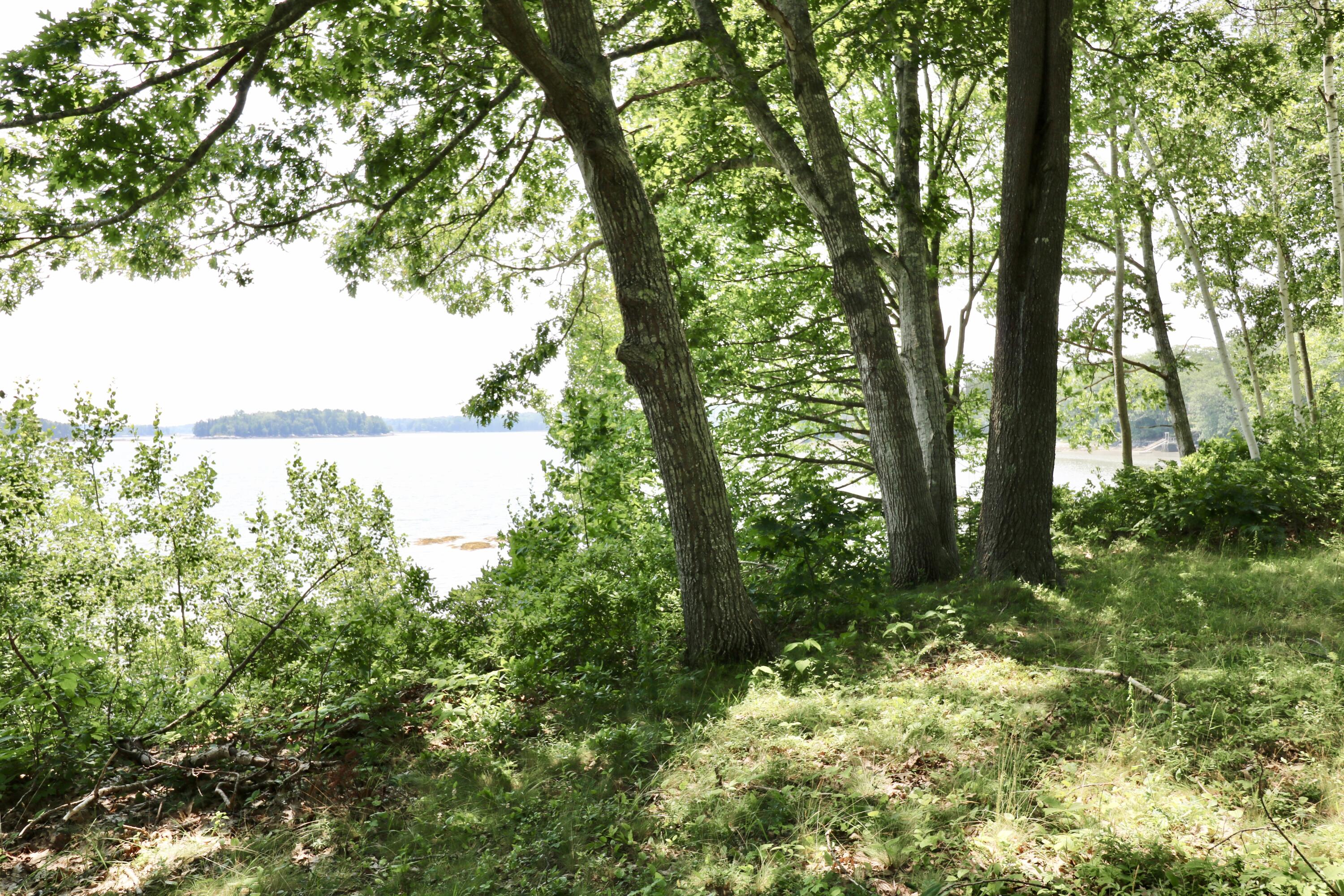 34 Indian Point Road Waldoboro, ME 04572 - Photo 56 of 63 IMG_1613
