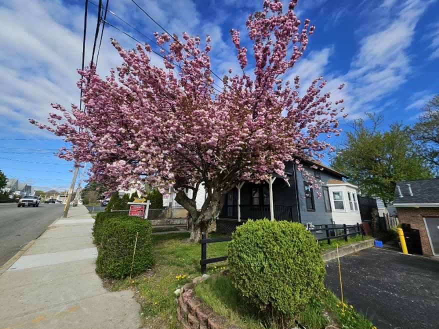571 Winter Street Woonsocket, RI 02895 - Photo 5 of 36