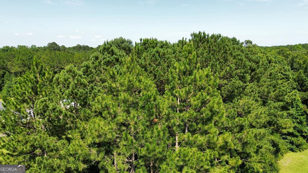 0 Payne Road Rentz, GA 31075 - Photo 4 of 5 Gallery Image 4