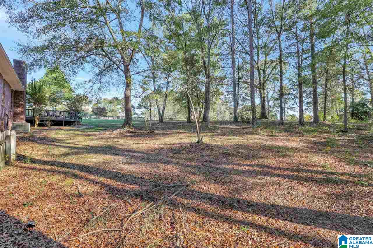 2868 Mt Moriah Road South Pell City, AL 35125 - Photo 31 of 40