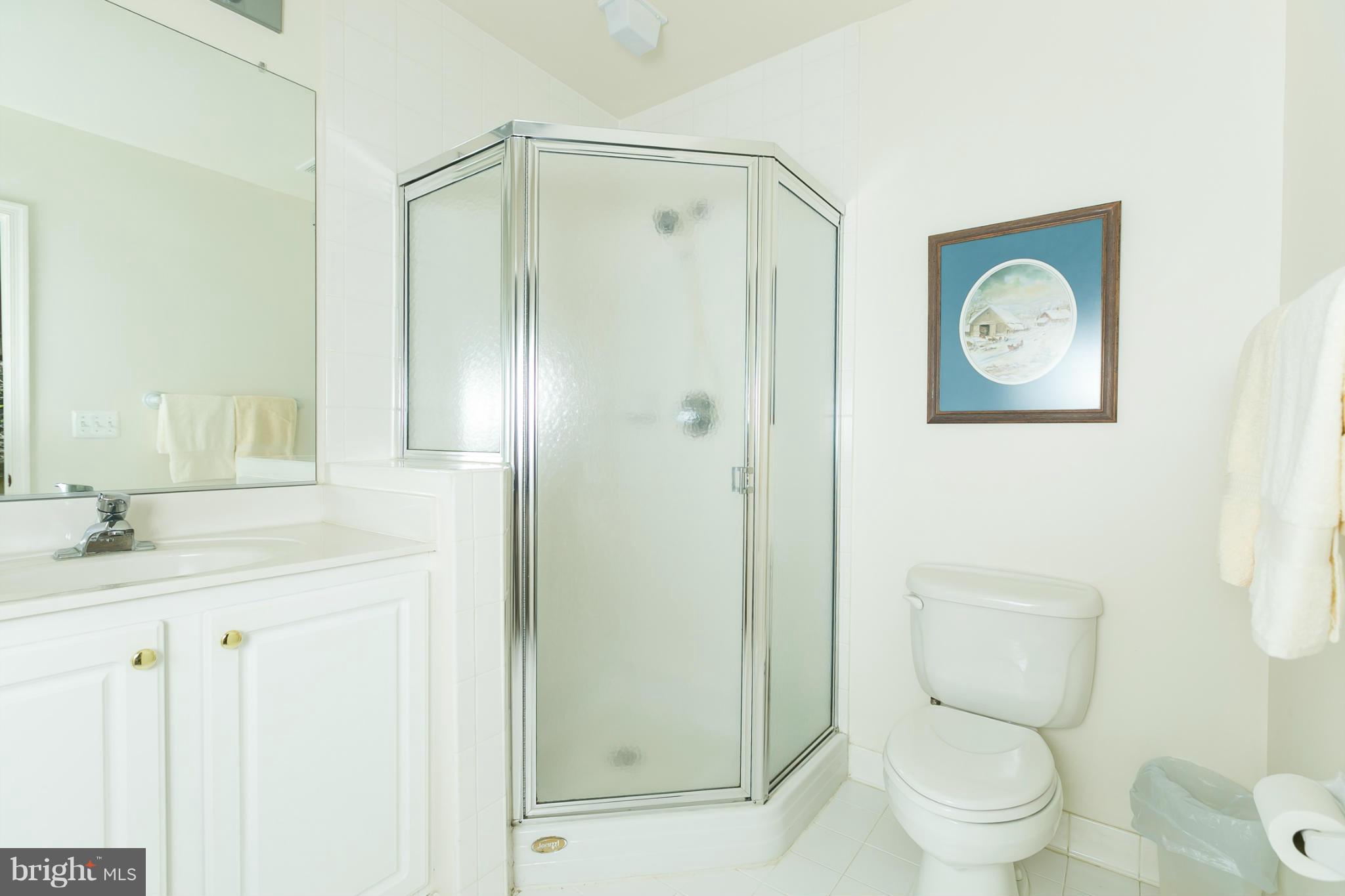 12340 Rosslare Ridge Road, Unit 203 Lutherville-Timonium, MD 21093 - Photo 20 of 30 Bath (Master)